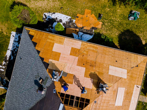 Quick and Trustworthy Emergency Roof Repair Services in Chicago, IL
